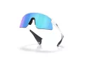 Oakley Stunt Devil Sunčane Naočale OO 9517 04