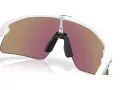 Oakley Stunt Devil Sunčane Naočale OO 9517 04
