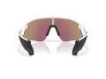 Oakley Stunt Devil Sunčane Naočale OO 9517 04