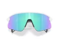 Oakley Stunt Devil Sunčane Naočale OO 9517 04