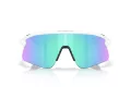 Oakley Stunt Devil Sunčane Naočale OO 9517 04