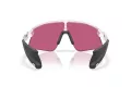 Oakley Stunt Devil Sunčane Naočale OO 9517 10