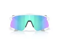 Oakley Stunt Devil S Sunčane Naočale OO 9518 04