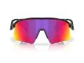 Oakley Stunt Wing Sunčane Naočale OO 9519 01