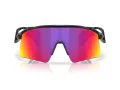 Oakley Stunt Wing Sunčane Naočale OO 9519 01