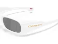 Oakley Permian Sunčane Naočale OO 9520 02