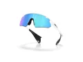 Oakley Stunt Devil A Sunčane Naočale OO 9525 02