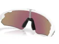 Oakley Stunt Devil A Sunčane Naočale OO 9525 02