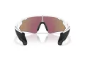 Oakley Stunt Devil A Sunčane Naočale OO 9525 02