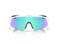 Oakley Stunt Devil A Sunčane Naočale OO 9525 02
