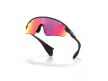 Oakley Stunt Devil A Sunčane Naočale OO 9525 03