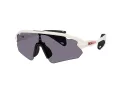 Oakley Stunt Devil A Sunčane Naočale OO 9525 05