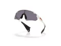 Oakley Stunt Devil A Sunčane Naočale OO 9525 05