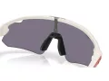Oakley Stunt Devil A Sunčane Naočale OO 9525 05
