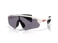 Oakley Stunt Devil A Sunčane Naočale OO 9525 05