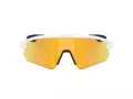 Oakley Stunt Devil A Sunčane Naočale OO 9525 08