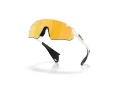 Oakley Stunt Devil A Sunčane Naočale OO 9525 08