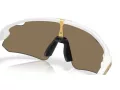 Oakley Stunt Devil A Sunčane Naočale OO 9525 08
