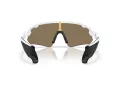 Oakley Stunt Devil A Sunčane Naočale OO 9525 08