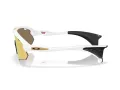 Oakley Stunt Devil A Sunčane Naočale OO 9525 08