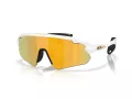 Oakley Stunt Devil A Sunčane Naočale OO 9525 08