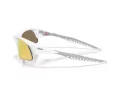 Oakley Suture Jacket Sunčane Naočale OO 9532 03