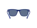 Polo Sunčane Naočale 4167 596280