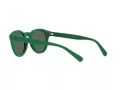 Polo Sunčane Naočale PH 4184 6017/71