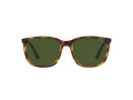 Polo Sunčane Naočale 4185U 500371