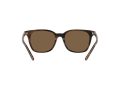 Polo Sunčane Naočale PH 4187 5625/73