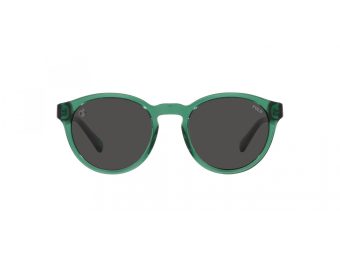 Polo Sunčane Naočale PH 4192 608487