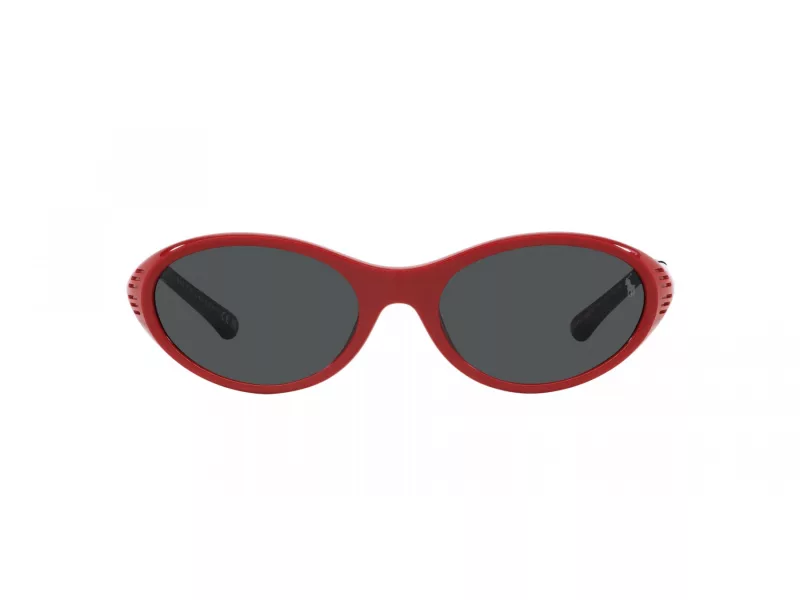 Polo Sunčane Naočale 4197U 609187