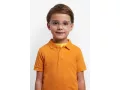 Polaroid Naočale PLD D842 MVU