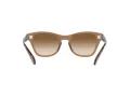 Ray-Ban Sunčane Naočale RB 0707S 6640/51