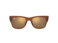 Ray-Ban Mega Wayfarer Sunčane Naočale RB 0840S 6636/93