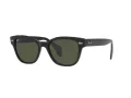 Ray-Ban Sunčane Naočale RB 0880S 901/31
