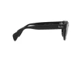 Ray-Ban Sunčane Naočale RB 0880S 901/31