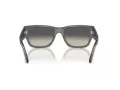Ray-Ban Carlos Sunčane Naočale RB 0947S 667571