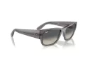 Ray-Ban Carlos Sunčane Naočale RB 0947S 667571