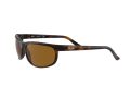Ray-Ban Predator 2 Sunčane Naočale RB 2027 6508/33