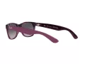 Ray-Ban New Wayfarer Sunčane Naočale RB 2132 6606/M3