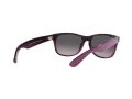 Ray-Ban New Wayfarer Sunčane Naočale RB 2132 6606/M3