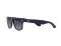 Ray-Ban New Wayfarer Sunčane Naočale RB 2132 6607/78