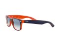 Ray-Ban New Wayfarer Sunčane Naočale RB 2132 789/3F