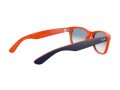 Ray-Ban New Wayfarer Sunčane Naočale RB 2132 789/3F