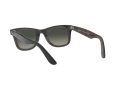 Ray-Ban Wayfarer Sunčane Naočale RB 2140 1277/71
