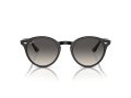 Ray-Ban Sunčane Naočale RB 0RB2180 601/11