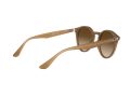 Ray-Ban Sunčane Naočale RB 2180 6166/13