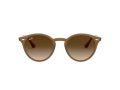 Ray-Ban Sunčane Naočale RB 2180 6166/13
