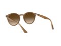 Ray-Ban Sunčane Naočale RB 2180 6166/13